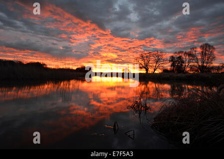 Sunrise over the Leiner See lake in the Middle Elbe Biosphere Reserve, Dessau, Saxony-Anhalt, Germany Stock Photo