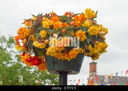 Hanging basket with mass of brightly coloured yellow and orange flowers of tuberous begonias against light blue sky