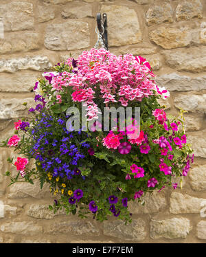 Hanging basket with spectacular mass of brightly coloured pink, red, blue flowers, lobelia, petunias, and dianthus, against light brown stone wall