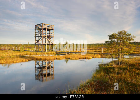 Observation tower in Männikjärve Bog, Endla Nature Reserve, Estonia Stock Photo