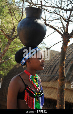 People, young adult woman, ethnic, KwaZulu-Natal, South Africa, Zulu maiden, traditional dress, balancing clay beer pot, theme village, Shakaland Stock Photo