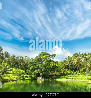 paradise lake with palm trees and blue sky. tropical nature landscape. Ubud, Bali, Indonesia Stock Photo