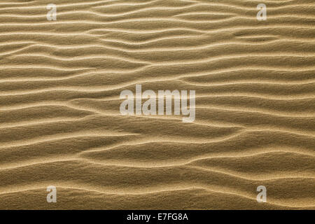 Texture of sand rippled with the wind Stock Photo