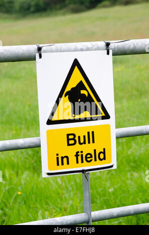 Bull in field warning sign on gate Stock Photo