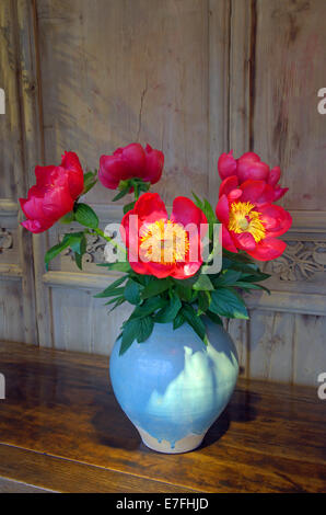 Red flowers in a vase Stock Photo