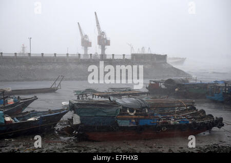 Fangchenggang, China's Guangxi Zhuang Autonomous Region. 16th Sep, 2014. Fishing boats are seen at a harbour in Fangchenggang City, south China's Guangxi Zhuang Autonomous Region, Sept. 16, 2014. The fifteenth Typhoon Kaimaegi hit Guangxi on Tuesday, affecting about 294,700 local residents and forcing the relocation of 25,800 people. Credit:  Lu Boan/Xinhua/Alamy Live News Stock Photo