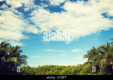 green forest and cloudy blue sky Stock Photo