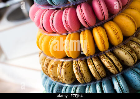 Macaroons in many colors Stock Photo
