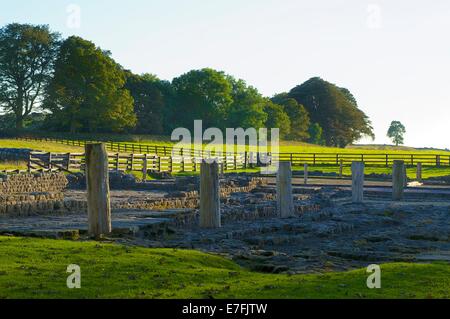 Excavated remains of Birdoswald on Hadrian's Wall, World Heritage Site, Cumbria, England, United Kingdom. Stock Photo