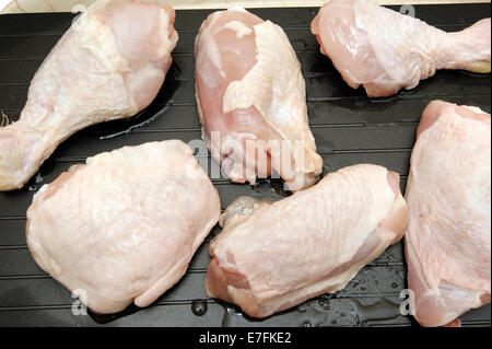 Defrosting chicken legs & thighs on a super defrost tray to speed up the natural process therefore bringing them to room temperature more quickly. Stock Photo