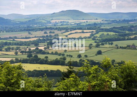 View of farmland from Wenlock Edge, near Much Wenlock, Shropshire, England, United Kingdom, Europe Stock Photo