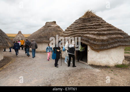 Tourist visitors view recreated Neolithic stone age hut / stoneage huts & thatched roof / roofs Exhibition Visitor centre Stonehenge Stone Henge UK Stock Photo