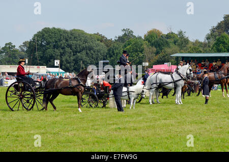 Judging of immaculate and well turned out carriages and horses at Romsey Show 2014. Stock Photo