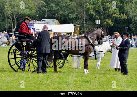 Judging of immaculate and well turned out carriages and horses at Romsey Show 2014. Stock Photo