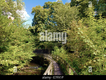 Footbridge crossing water in the woods of Skipton Castle. Stock Photo