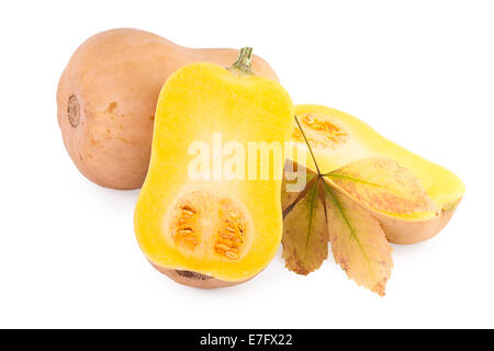 butternut pumpkin with autumn leaf over white Stock Photo