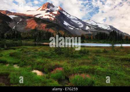 First light on central Oregon's Mt Jefferson with pink monkeyflowers blooming at Russell Lake in the Jefferson Park Wilderness. Stock Photo