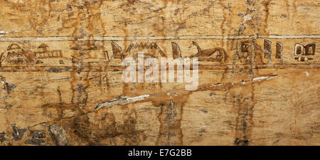ancient writing on coffin of Egyptian mummy Stock Photo