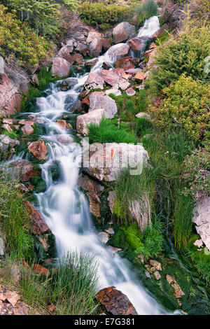 Stream with spring snow melt rushes off the flanks of Mt Lassen Volcanic National Park in northern California. Stock Photo