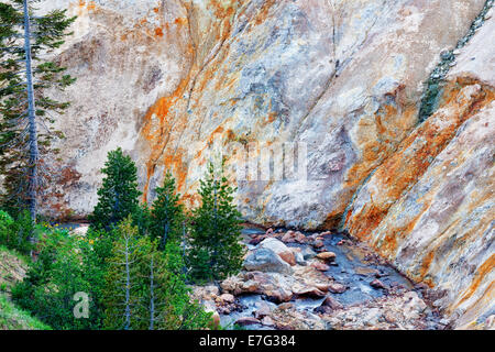 East Sulfur Creek passes the canyon walls of thermal mineral deposits left in California’s Mt Lassen Volcanic National Park. Stock Photo