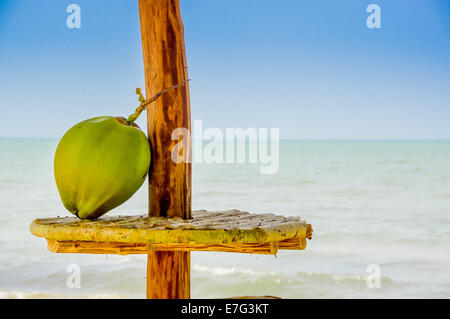 coconut on a table hut with the sea in background livingston guatemala Stock Photo