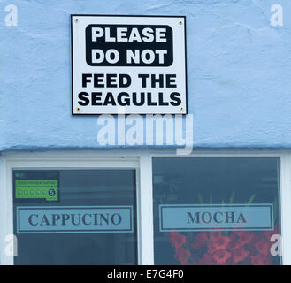 Please do not feed the seagulls sign on cafe wall in Staithes, North Yorkshire, England, UK Stock Photo