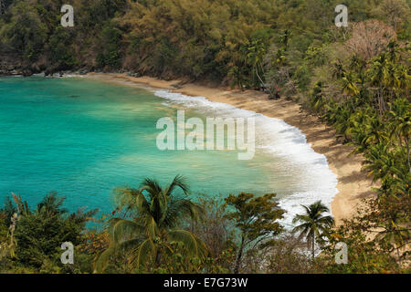 Sandy beach, Parlatuvier Bay, Tobago, Trinidad and Tobago Stock Photo