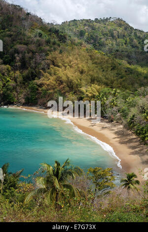 Sandy beach, Parlatuvier Bay, Tobago, Trinidad and Tobago Stock Photo