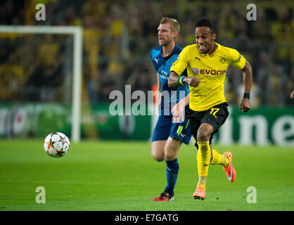 Dortmund, Germany. 16th Sep, 2014. Dortmund's Pierre-Emerick Aubameyang (R) and Arsenal's Per Mertesacker in action during the Champions League match between Borussia Dortmund and FC Arsenal at BVB stadium in Dortmund, Germany, 16 September 2014. Credit:  dpa picture alliance/Alamy Live News Stock Photo