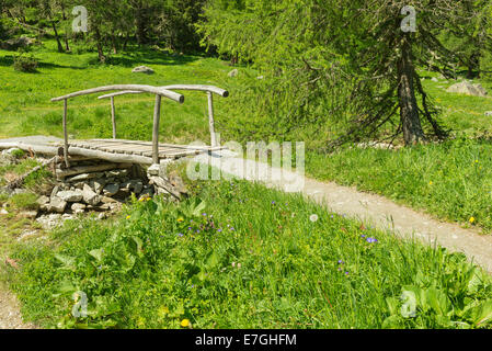 Gorgeous meadow of wild flowers of the Swiss Alps in the Grisons. The path along the field leads to a wooden bridge Stock Photo