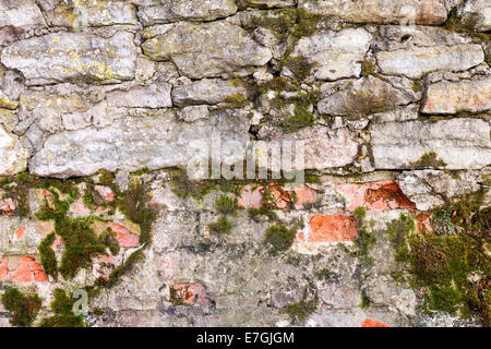 Old weathered grunge stone wall as background Stock Photo