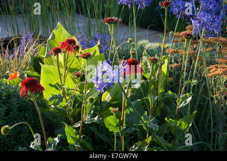Garden - The Narrows - Echinacea ' Art's Pride ' Agapanthus ' Headbourne Hybrids '' Achillea terracotta - Desig Stock Photo
