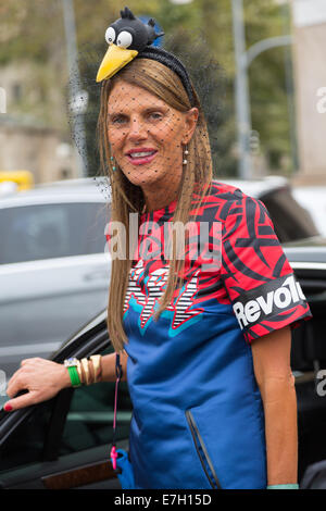MILAN, ITALY - SEPTEMBER 17: Anna Dello Russo is seen outside the Gucci Fashion Show on September 17,  2014 in Milan. Stock Photo