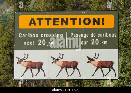 Elk203-7074 Canada, Alberta, Jasper National Park, caribou sign Stock Photo