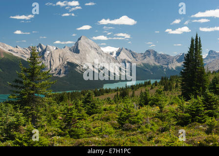 Elk203-7173 Canada, Alberta, Jasper National Park, Maligne Lake, view from Bald Hills trail Stock Photo