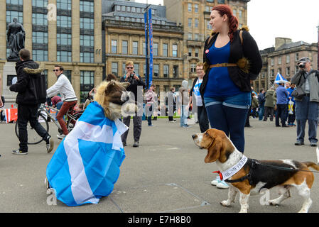 Glasgow, Scotland, UK. 17th Sept, 2014. Hundreds of people attend a "Yes Scotland Campaign" in George Square, Glasgow with banners and placards, there are also featured speakers as well as live music. The country goes to the polls on the 18th of September 2014 to decide whether Scotland should be an independent country or remains in the United Kingdom. Credit:  Martin Alan Smith/Pacific Press/Alamy Live News Stock Photo