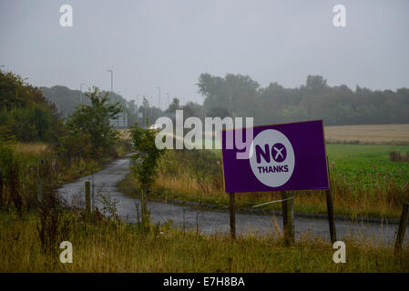 Glasgow, Scotland, UK. 17th Sept, 2014. Hundreds of people attend a "Yes Scotland Campaign" in George Square, Glasgow with banners and placards, there are also featured speakers as well as live music. The country goes to the polls on the 18th of September 2014 to decide whether Scotland should be an independent country or remains in the United Kingdom. Credit:  Martin Alan Smith/Pacific Press/Alamy Live News Stock Photo