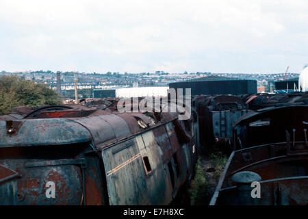 lines of scrapped ex british rail steam engines at woodham brothers scrapyard barry island wales uk 1975 Stock Photo
