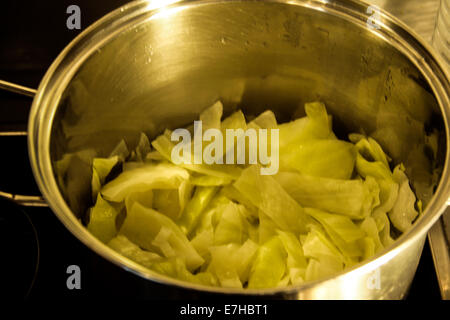 head cabbage Stock Photo