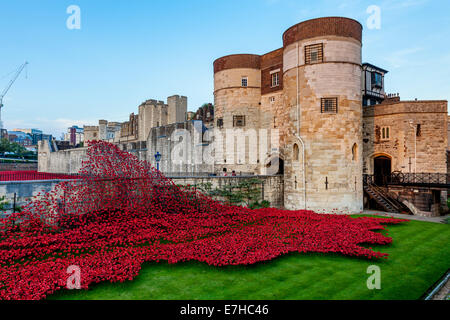 Poppy Display at The Tower of London To Commemorate the 100 year Anniversary of the First World War, London, England Stock Photo