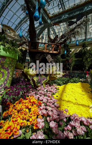 Flowers in Conservatory & Botanical Gardens, Bellagio, Las Vegas, Nevada, USA Stock Photo