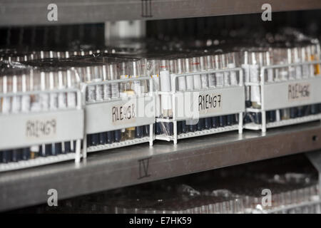 Racks Of Test Tubes On Shelf Stock Photo