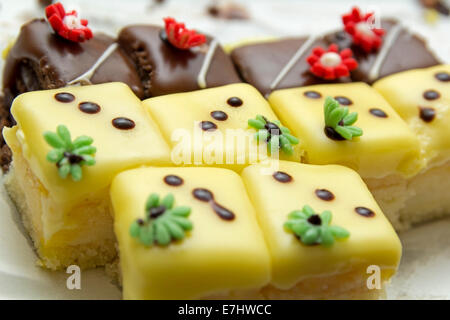 Yellow cake with lemon and other chocolate cakes on a white plate Stock Photo