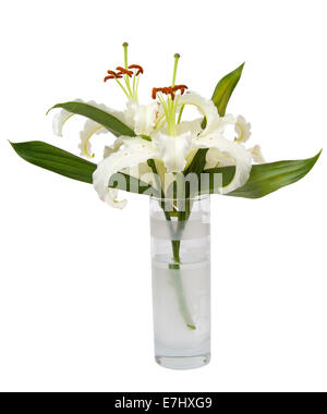 Bouquet of white lily in glass isolated over white background Stock Photo
