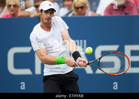 Flushing Meadows, NY, USA. 30th Aug, 2014. Andy Murray (GBR) in 3rd round action at the US Open Tennis Championships. Stock Photo