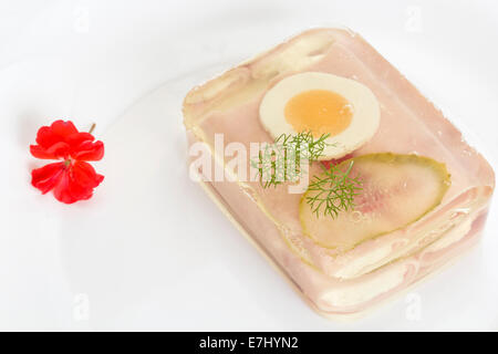 jellied meat on a white plate and one flower Stock Photo