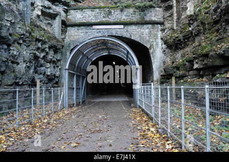 The eastern entrance to Headstone tunnel on the Monsal trail cycle path in the Peak District Derbyshire England UK disused railway tunnel Stock Photo