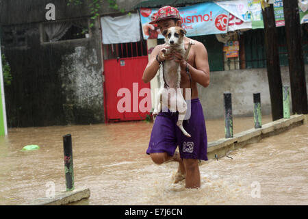 Manila, Philippines. 19th Sep, 2014. A man rescuing his dog from flood when waterway approached to 19 metres in Marikina River at Marikina, Metro Manila, Philippines on September 19, 2014. In typical year the Philippines experience around 19 tropical cyclones. Credit:  Sijori Images/ZUMA Wire/Alamy Live News Stock Photo