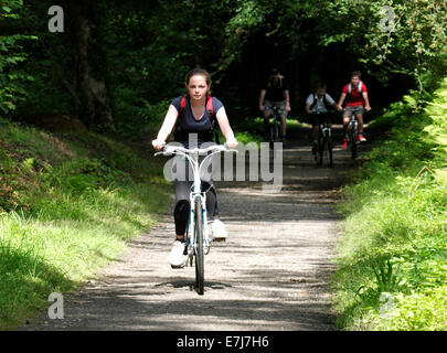 Teenage girl cycling along the Camel Trail near Bodmin followed by her family, Cornwall, UK Stock Photo