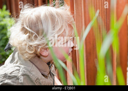 Boy, 3, looking curiously through a fence Stock Photo
